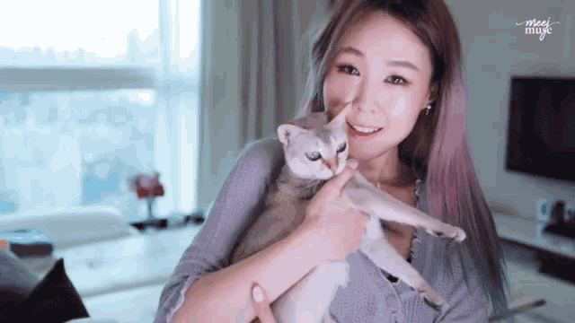 Kissing Pet Cat GIF - Kissing Pet Cat Cats GIFs