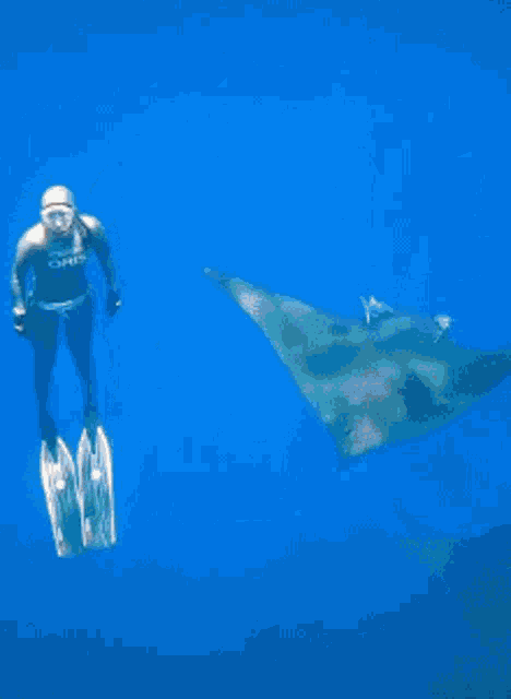 a woman in a bikini is swimming in the blue water