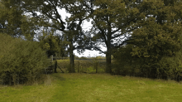 a green truck is parked in a grassy field with trees in the background