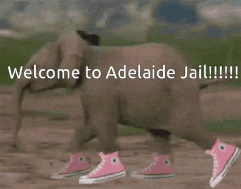 Adelaide Jail Welcome To Adelaide Jail GIF - Adelaide Jail Welcome To Adelaide Jail GIFs