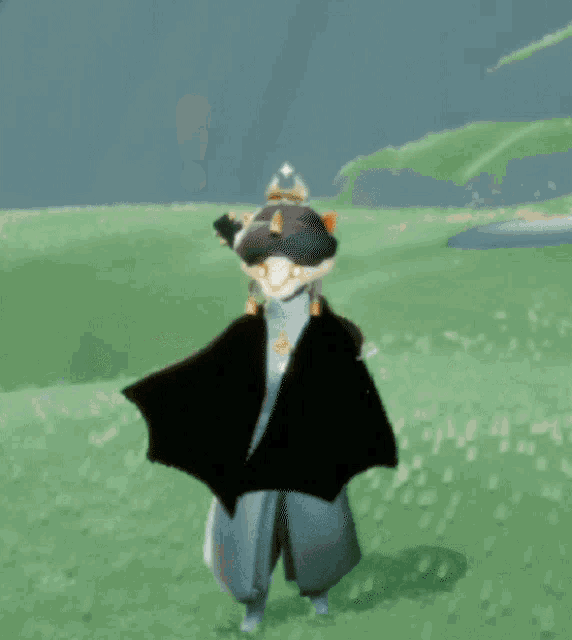 a cartoon character is standing in a field wearing a black cape and a hat .