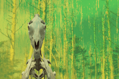 a skeleton of a horse stands in front of a green background