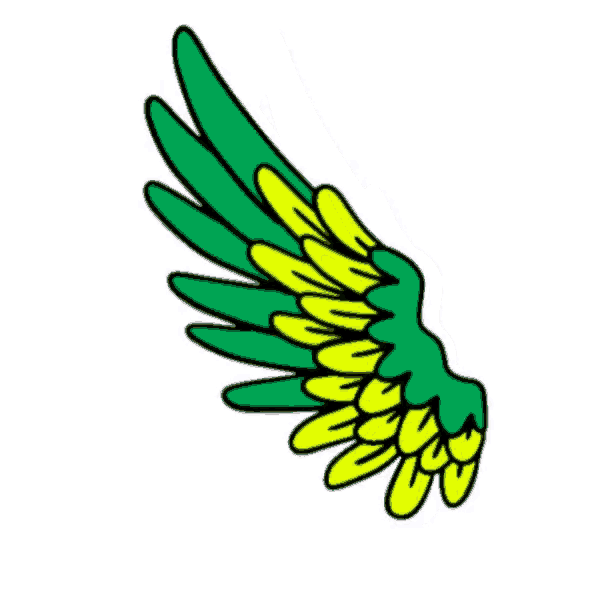a drawing of a green and yellow wing with a white background