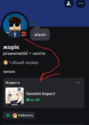 a screenshot of a person 's profile with genshin impact displayed at 6:29