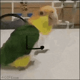Just Aced Finals Happy GIF - Just Aced Finals Happy Dance GIFs