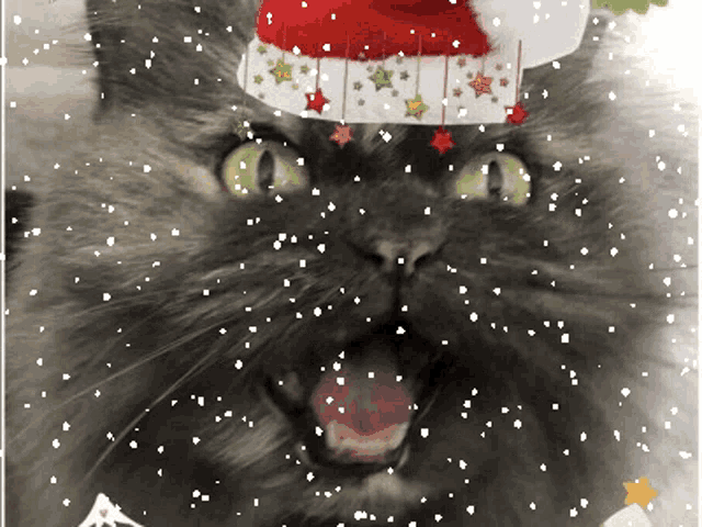 a cat wearing a santa hat is surrounded by snowflakes