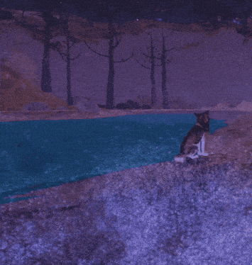 a dog is sitting on the shore of a lake at night