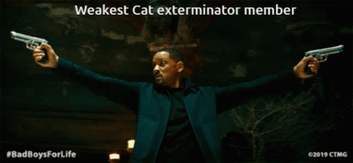 Cat Exterminators GIF - Cat Exterminators GIFs