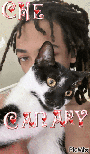 a picture of a man holding a black and white cat with the words che canary written on it