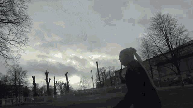 a silhouette of a woman walking in a park