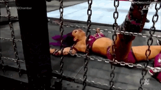 a female wrestler is laying on the ground in a cage .