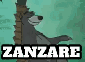 a cartoon of a bear standing next to a palm tree with the word zanzare written below it