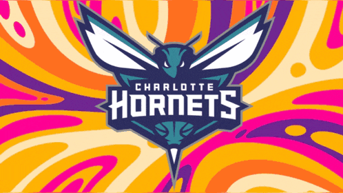 a logo for the charlotte hornets is displayed on a colorful background