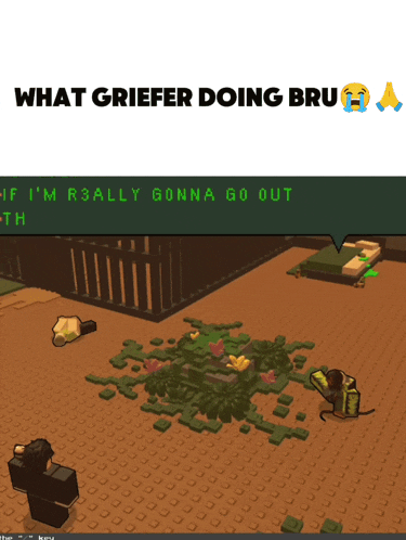 a screenshot of a video game with the words " what griefer doing bru " at the top