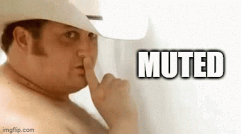 Muted Meow GIF - Muted Meow Funny GIFs