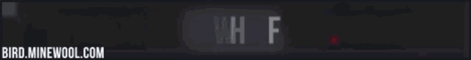 a blurred image of a red and white text that says bird.mnewool.com