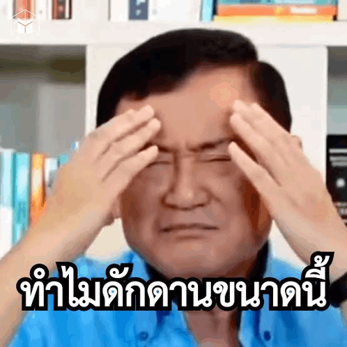 แม้ว ปวดหัว GIF - แม้ว ปวดหัว GIFs