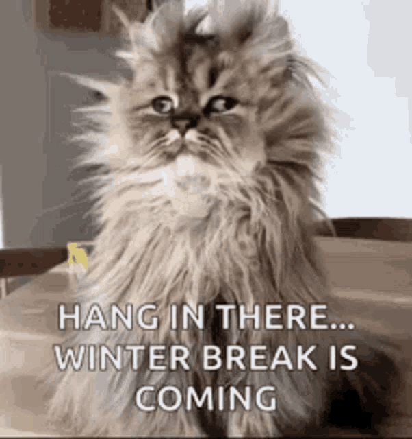 Yup Hang In There GIF - Yup Hang In There Winter Break GIFs