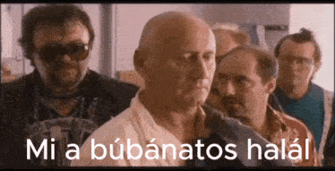 Uvegtigris Hungary GIF