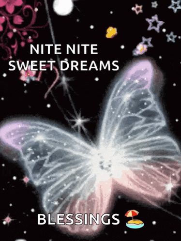 a picture of a butterfly with the words " nite nite sweet dreams blessings " below it