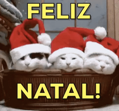 Feliz Natal / Dia De Natal / Noite De Natal / Gatinhos GIF - Cat Kittens Merry Christmas GIFs