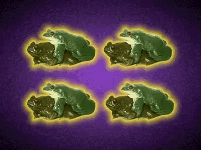 four green frogs are sitting on a purple surface