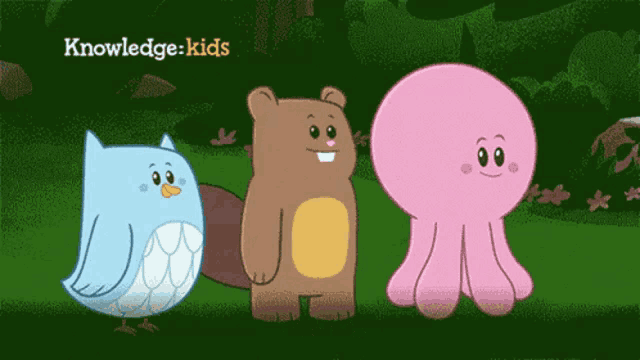 a blue owl a brown bear and a pink octopus are standing next to each other with knowledge kids written above them