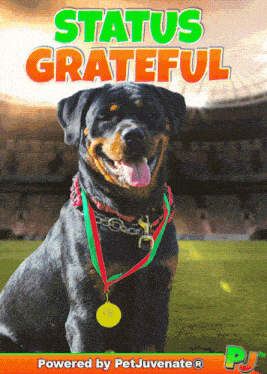 a picture of a dog with a medal around its neck says status grateful