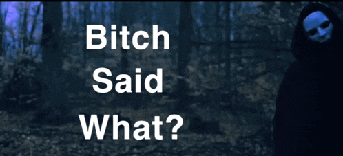a picture of a person with a mask and the words " bitch said what " below them