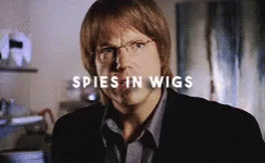 Spies Wigs GIF - Spies Wigs GIFs