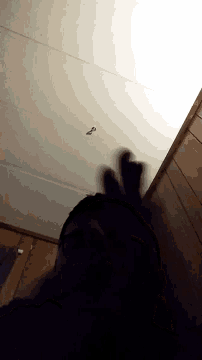 a shadow of a person is cast on a white wall with the letter g on it