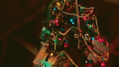 Star On Tree Christmas Tree GIF - Star On Tree Christmas Tree Decorate GIFs