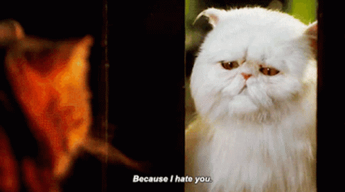 Cats And Dogs Mr Tinkles GIF - Cats And Dogs Mr Tinkles Because I Hate You GIFs