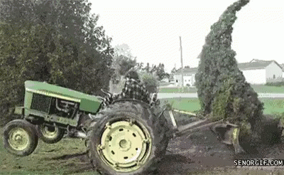 Tree Attack GIF - Ouch Fail GIFs