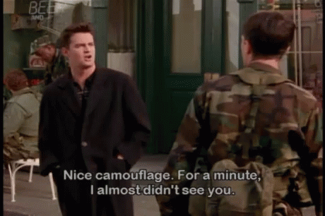 Friends Camouflage GIF