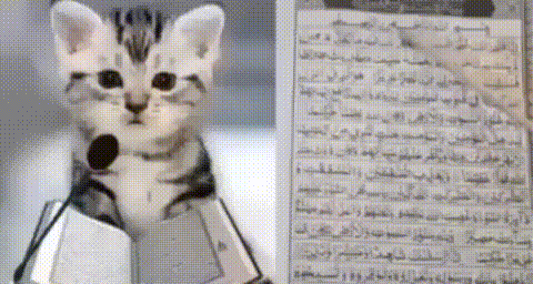 a kitten is wearing a stethoscope and holding a microphone