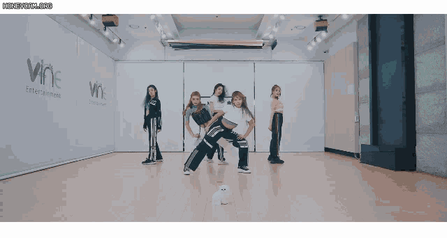 a group of girls are dancing in front of a wall that says vnc entertainment