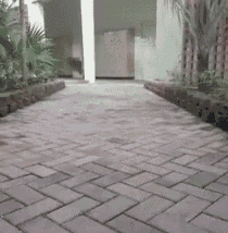 Hold Hands Prank GIF