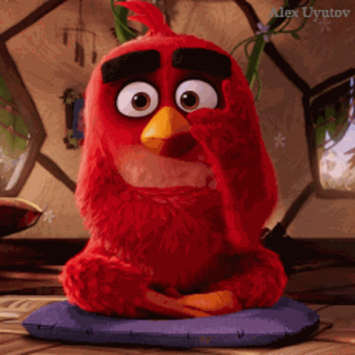 Angry Birds Uyutov GIF - Angry Birds Uyutov Alexuyutov GIFs