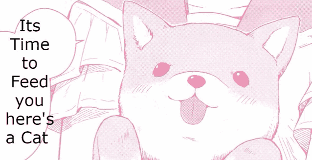 a picture of a cat with the words " its time to feed you here 's a cat "