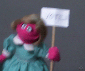 Muppetwiki Muppet Wiki GIF