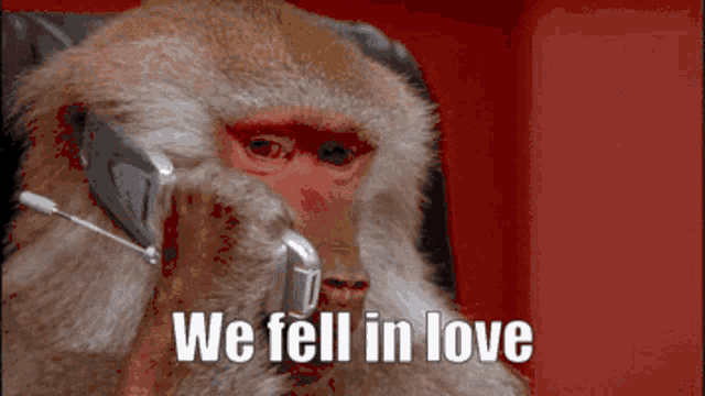 When I Met You In The Summer Monkey In The Summer GIF