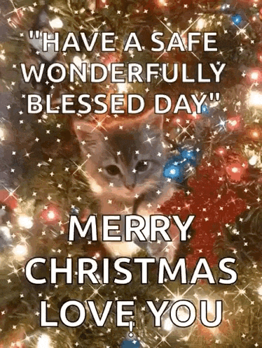 a cat is sitting under a christmas tree with a message that says `` have a safe wonderfully blessed day ``