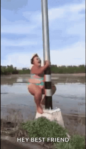 Stripper Pole GIF - Stripper Pole Dancing GIFs