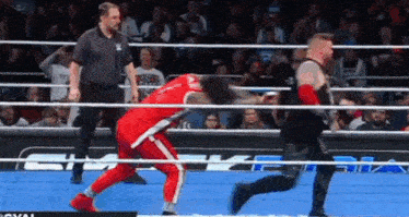 a referee is standing next to a wrestler in a ring .
