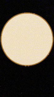 a picture of a woman with blonde hair is in a circle on a black background