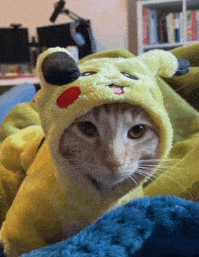 a cat wearing a pikachu costume laying on a bed