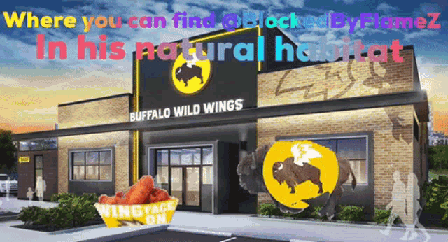 an advertisement for buffalo wild wings shows a buffalo on the front