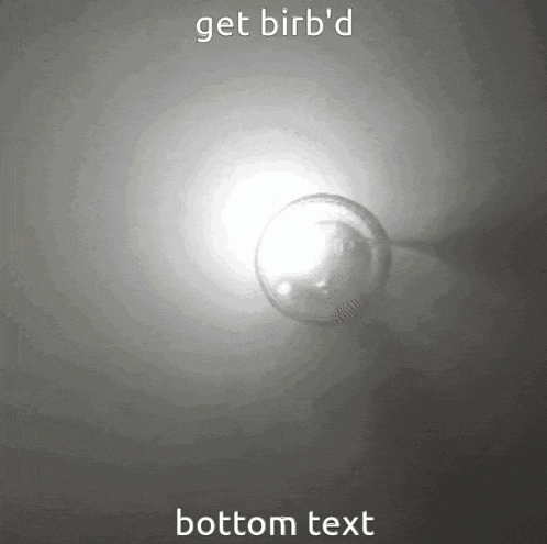 a picture of a light bulb with the words get birb 'd bottom text below it