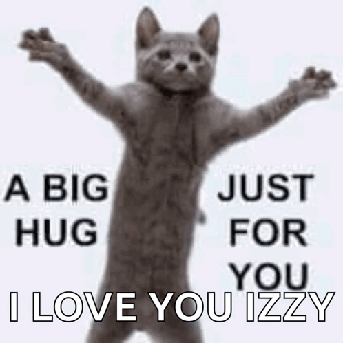 Hug Cat Love GIF - Hug Cat Love GIFs